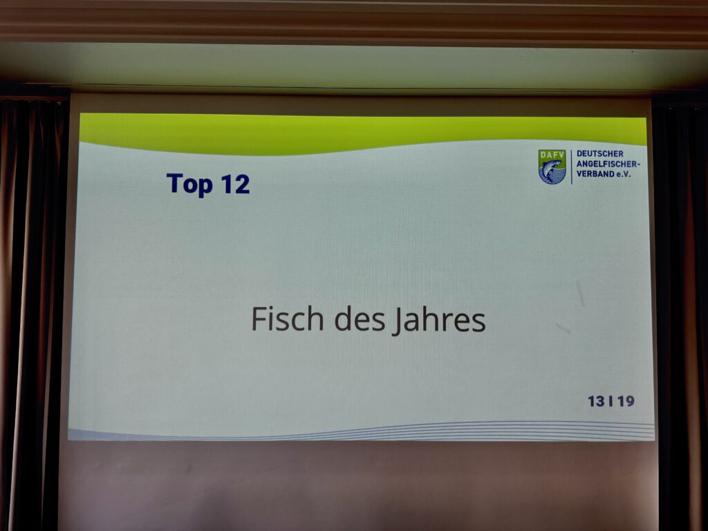 der Fisch des Jahres
